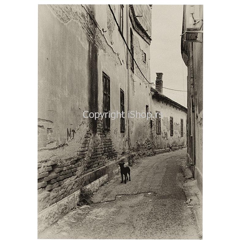 ovde ja čuvam ishop online prodaja