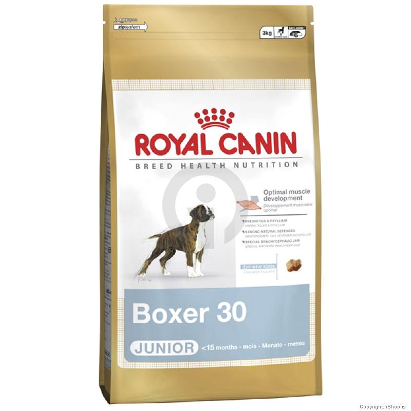 hrana za pse boxer junior 3 ishop online prodaja